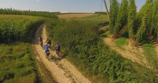 Link to Video | landscape, agriculture, useful plant, summer, Humulus, Germany, color, 4K resolution, 2020, Central Europe, green, aerial shot, August 2020, Hallertau, Bavaria