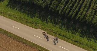 Link to Video | landscape, agriculture, useful plant, summer, Humulus, Germany, color, 4K resolution, 2020, Central Europe, green, aerial shot, August 2020, Hallertau, Bavaria