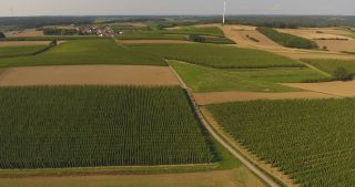 Link to Video | landscape, agriculture, useful plant, summer, Humulus, Germany, color, 4K resolution, 2020, Central Europe, green, aerial shot, August 2020, Hallertau, Bavaria
