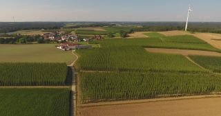 Link to Video | landscape, agriculture, useful plant, summer, Humulus, Germany, color, 4K resolution, 2020, Central Europe, green, aerial shot, August 2020, Hallertau, Bavaria