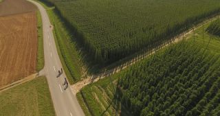 Link zum Video | Landschaft, Landwirtschaft, Nutzpflanze, Sommer, Hopfen, Deutschland, Farbe, 4K, 2020, Mitteleuropa, Grün, Luftaufnahme, August 2020, Hallertau, Bayern