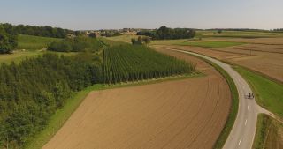 Link to Video | landscape, agriculture, useful plant, summer, Humulus, Germany, color, 4K resolution, 2020, Central Europe, green, aerial shot, August 2020, Hallertau, Bavaria