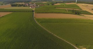Link to Video | landscape, agriculture, useful plant, summer, Humulus, Germany, color, 4K resolution, 2020, Central Europe, green, aerial shot, August 2020, Hallertau, Bavaria