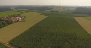 Link to Video | landscape, agriculture, useful plant, summer, Humulus, Germany, color, 4K resolution, 2020, Central Europe, green, aerial shot, August 2020, Hallertau, Bavaria