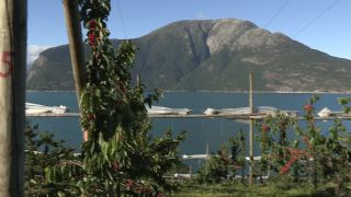 Link to Video | Hardanger, 2010, Norway, Hardangerfjord
