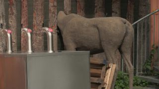 Link to Video | 2011, Norway, Pilgrim's Route, Scandinavia, pilgrims' way