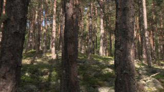 Link to Video | 2011, Norway, Pilgrim's Route, Scandinavia, pilgrims' way