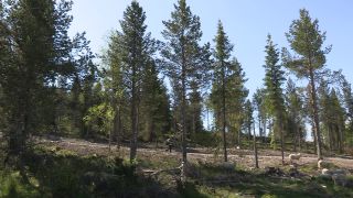 Link to Video | 2011, Norway, Pilgrim's Route, Scandinavia, pilgrims' way