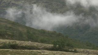 Link to Video | 2011, Norway, Pilgrim's Route, Scandinavia, pilgrims' way