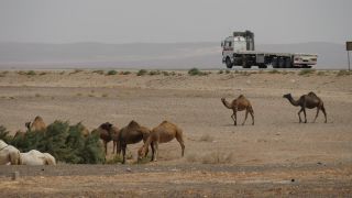 Link to Video | color, 4K resolution, 2016, Near East, Jordan