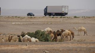 Link to Video | color, 4K resolution, 2016, Near East, Jordan