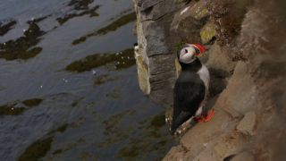 Link to Video | Iceland, Scandinavia, color, 4K resolution, 2016, Europe, ultra-high-definition television