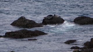 Link to Video | Iceland, Scandinavia, color, 4K resolution, Europe, ultra-high-definition television