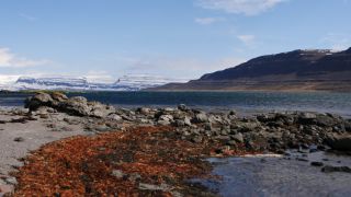 Link to Video | Iceland, Scandinavia, color, 4K resolution, Europe, ultra-high-definition television