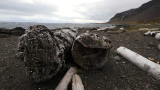 Link to Video | Iceland, Scandinavia, color, 4K resolution, Europe, ultra-high-definition television