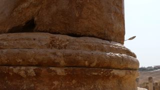 Link to Video | historic site, ruins, tourist destination, Full High Definition, color, Roman city, ancient Roman architecture, 4K resolution, 2016, Western Asia, Jerash, ancient history, Near East, classical antiquity, Ancient Jerash, tourist attraction, emptiness, Mediterranean Basin, Jordan, archaeological site