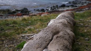 Link to Video | Iceland, Scandinavia, color, 4K resolution, Europe, ultra-high-definition television