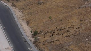 Link to Video | big city, metropolis, color, 4K resolution, 2016, Amman, Near East, capital city, Jordan