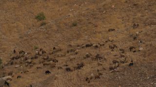 Link to Video | color, 4K resolution, 2016, Near East, Jordan