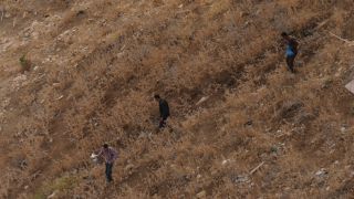 Link to Video | color, 4K resolution, 2016, Near East, Jordan