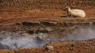 Link to Video | Iceland, Scandinavia, color, 4K resolution, 2016, Europe, ultra-high-definition television
