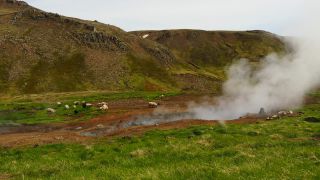 Link to Video | Iceland, Scandinavia, color, 4K resolution, Europe, ultra-high-definition television