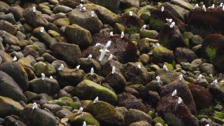 Link to Video | Iceland, Scandinavia, color, 4K resolution, 2016, Europe, ultra-high-definition television