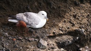 Link to Video | Iceland, Scandinavia, color, 4K resolution, 2016, Europe, ultra-high-definition television