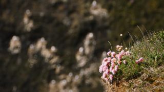 Link to Video | Iceland, Scandinavia, color, 4K resolution, 2016, Europe, ultra-high-definition television