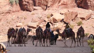 Link to Video | color, 4K resolution, 2016, Near East, Jordan