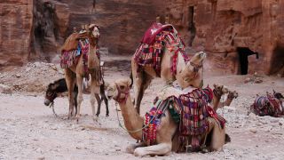Link to Video | color, 4K resolution, 2016, Near East, Jordan
