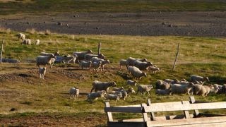 Link to Video | Iceland, Scandinavia, color, 4K resolution, 2016, Europe, ultra-high-definition television