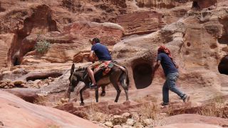 Link to Video | color, 4K resolution, 2016, Near East, Jordan