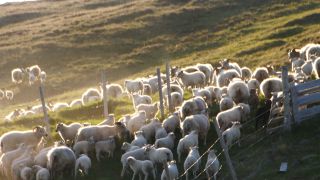 Link to Video | Iceland, Scandinavia, color, 4K resolution, Europe, ultra-high-definition television