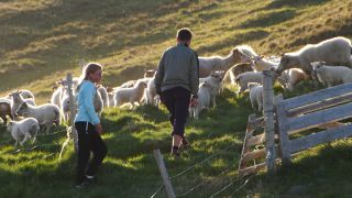 Link to Video | Iceland, Scandinavia, color, 4K resolution, 2016, Europe, ultra-high-definition television