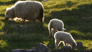 Link to Video | Iceland, Scandinavia, color, 4K resolution, 2016, Europe, ultra-high-definition television