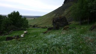 Link to Video | Iceland, Scandinavia, color, 4K resolution, 2016, Europe, ultra-high-definition television