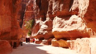 Link to Video | color, 4K resolution, 2016, Near East, Jordan