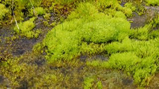 Link to Video | Iceland, Scandinavia, color, 4K resolution, Europe, ultra-high-definition television