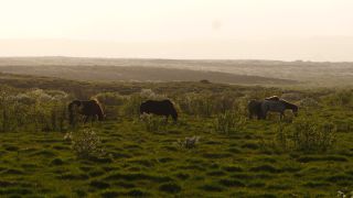 Link to Video | Iceland, Scandinavia, color, 4K resolution, Europe, ultra-high-definition television