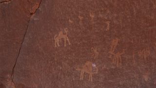 Link to Video | color, 4K resolution, 2016, Near East, Jordan