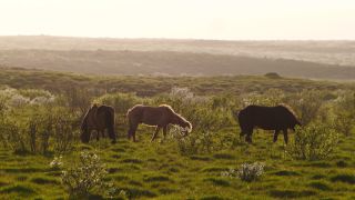 Link to Video | Iceland, Scandinavia, color, 4K resolution, Europe, ultra-high-definition television