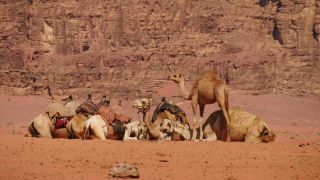 Link to Video | color, 4K resolution, 2016, Near East, Jordan
