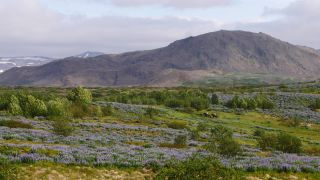 Link to Video | Iceland, Scandinavia, color, 4K resolution, Europe, ultra-high-definition television