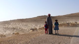 Link to Video | color, 4K resolution, 2016, Near East, Jordan