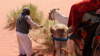 Link to Video | color, 4K resolution, 2016, Near East, Jordan