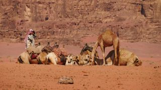 Link to Video | color, 4K resolution, 2016, Near East, Jordan