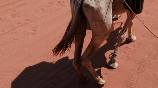 Link to Video | color, 4K resolution, 2016, Near East, Jordan