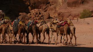 Link to Video | color, 4K resolution, 2016, Near East, Jordan