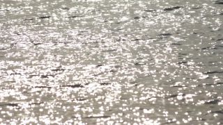 Link to Video | lake, Italy, Lake Garda